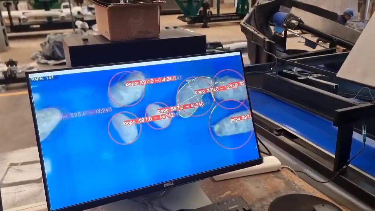 Sistema de visión artificial Camet que detecta y mide papas en una cinta para clasificarlas por tamaño y calidad.