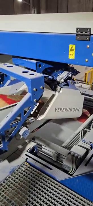 Paletizadora Verbruggen apilando bolsas de hortalizas en pallets en una planta de empaque.