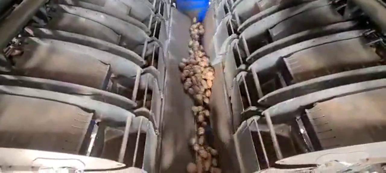 Detalle de los cangilones de la pesadora automática Camet dosificando papas hacia el embolsado.