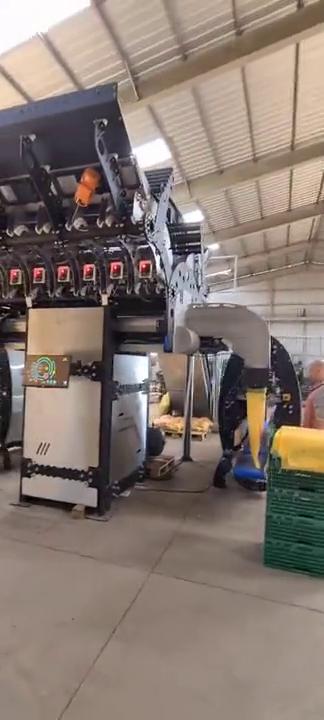 Pesadora automática Camet instalada y funcionando en una planta de empaque de hortalizas.