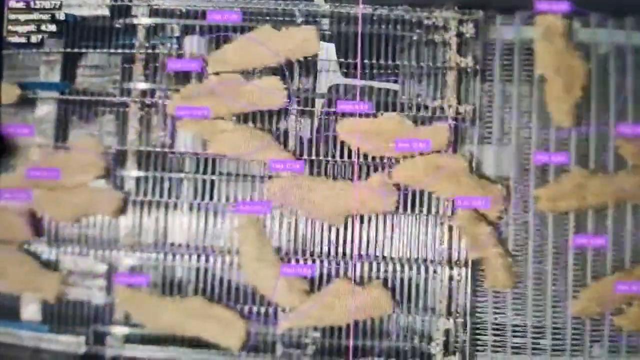 Clasificación automática de productos en una línea de proceso alimentario con visión artificial.